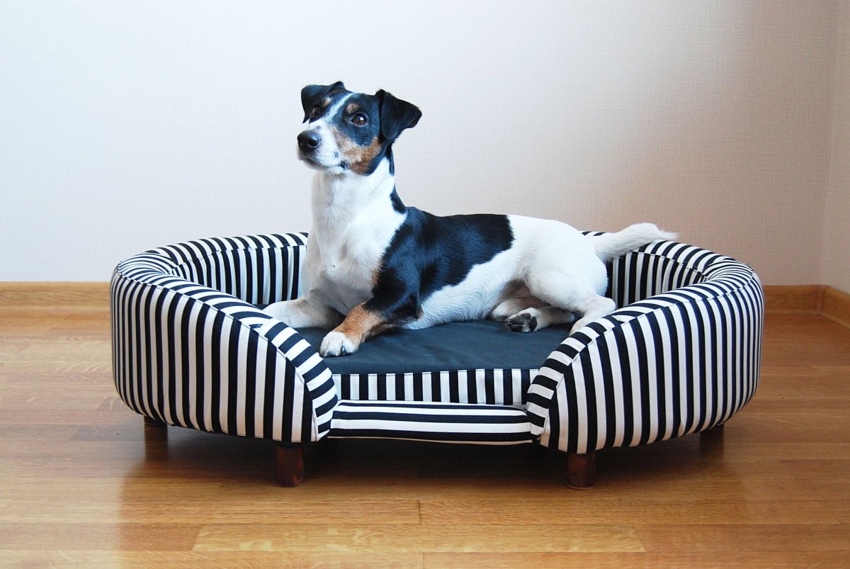 Кровать для собаки своими руками