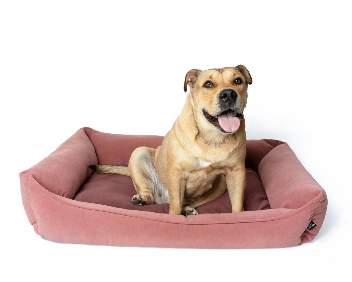 Лежак для собак cozy Dog Cave