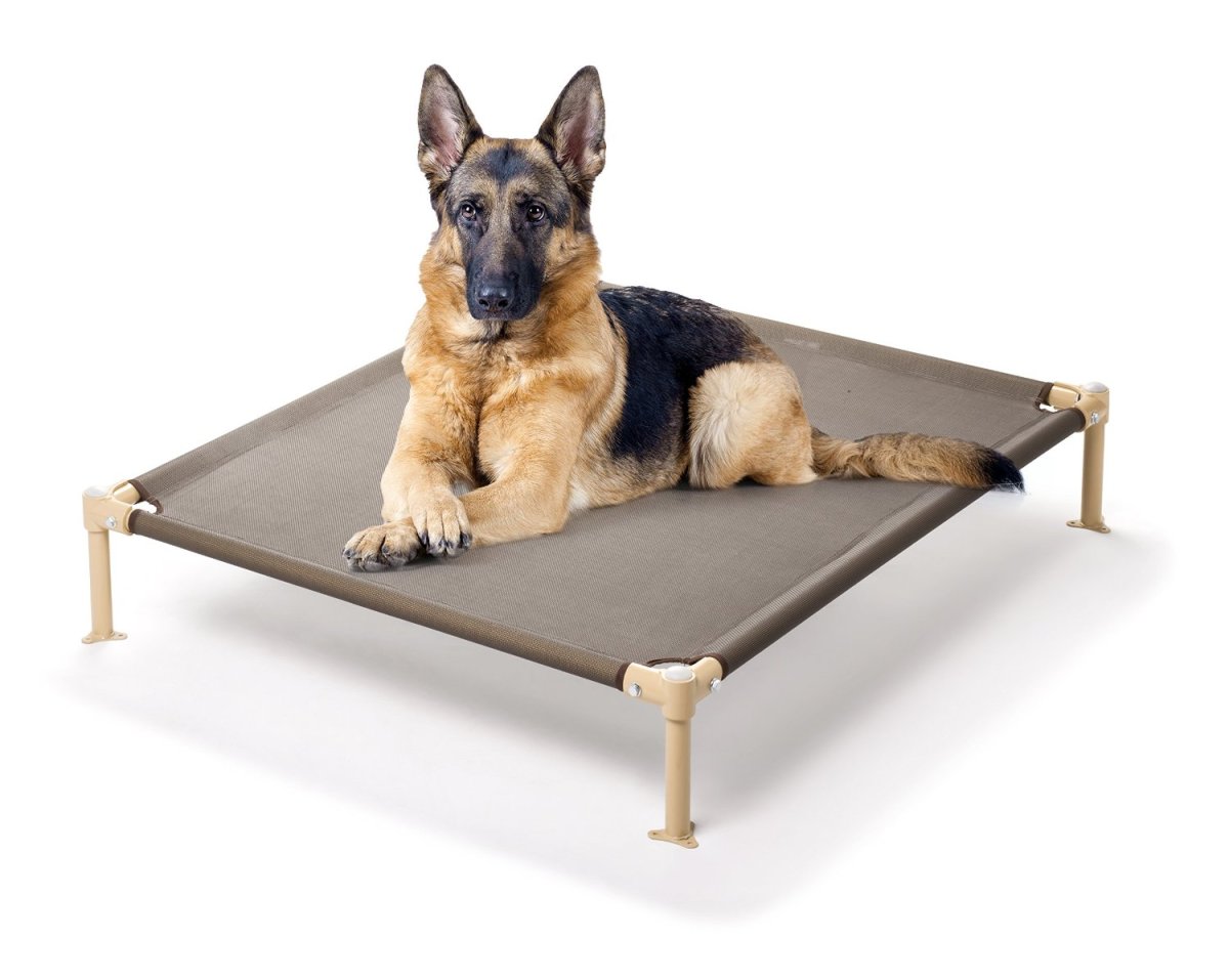 Wood Bed for Dog