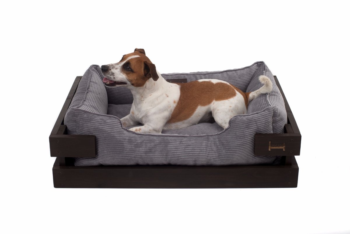 Лежак для собаки elevated Dog