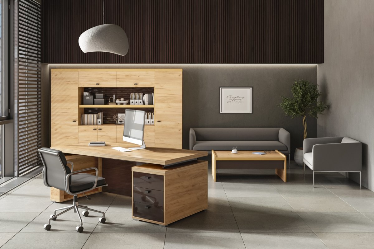Интерьер кабинета руководителя береза Радена