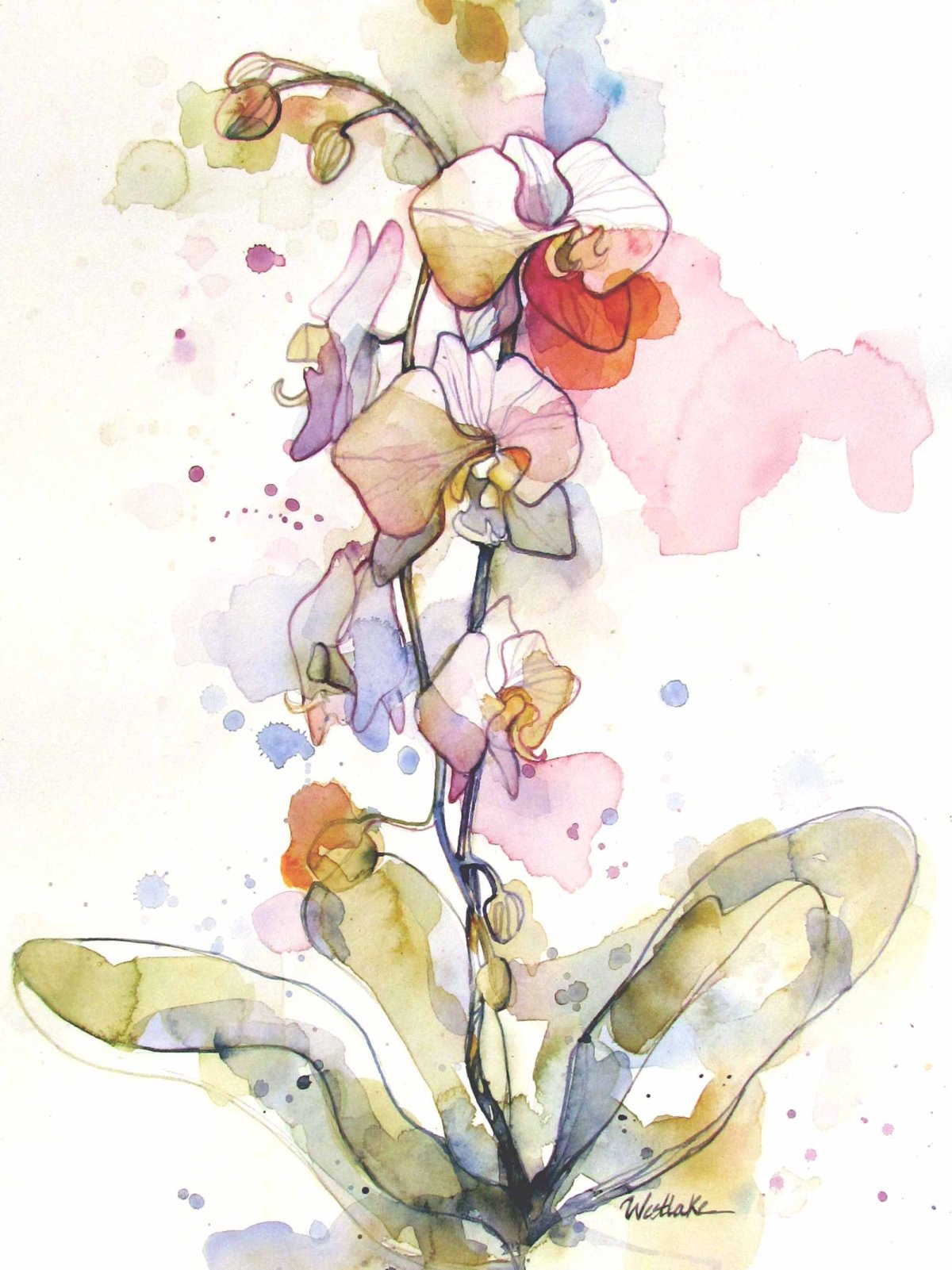 Акварельная Графика цветы