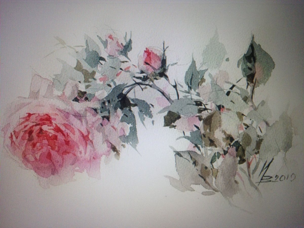 Цветы на белом фоне акварель в высоком разрешении