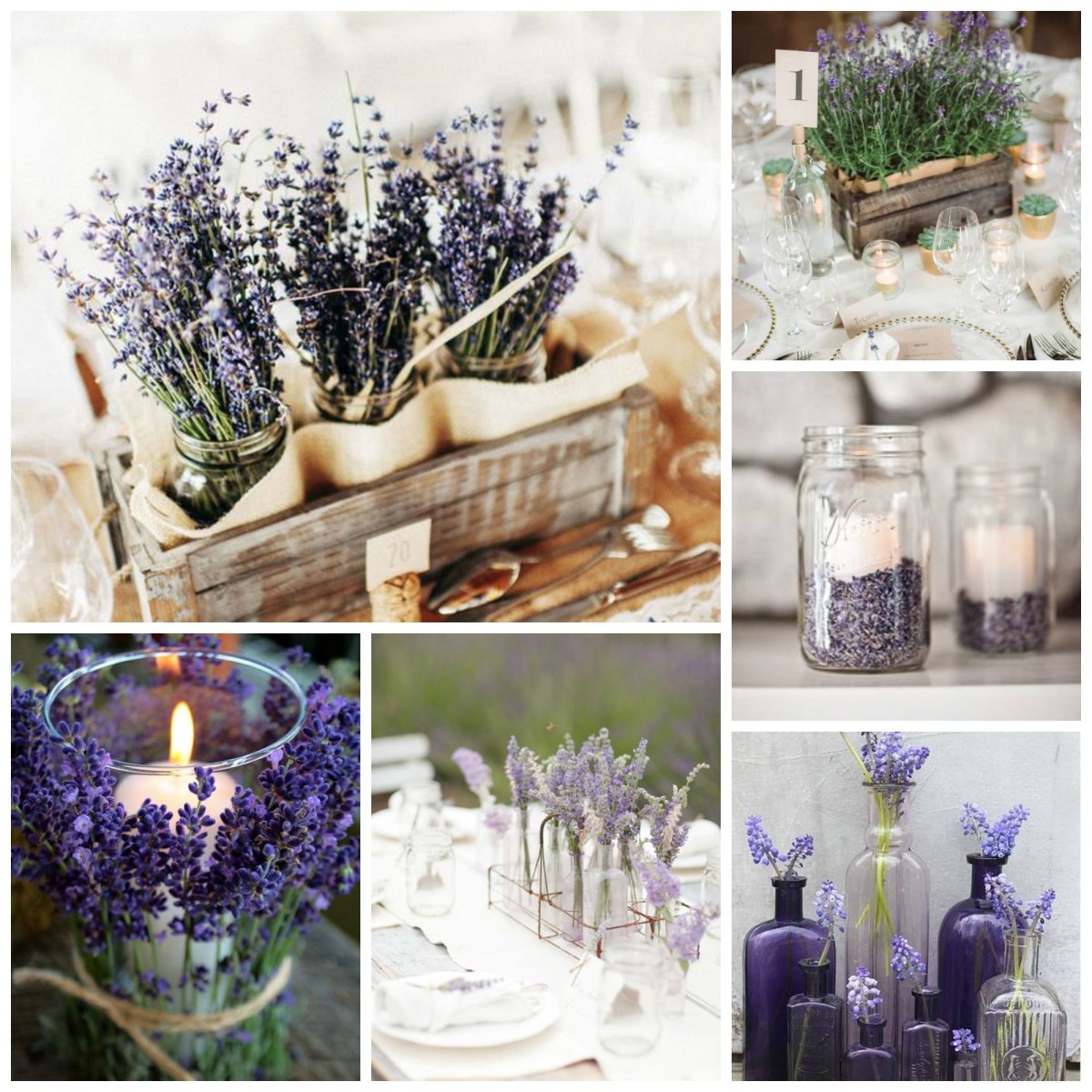 Сухоцветы Сканди стиль