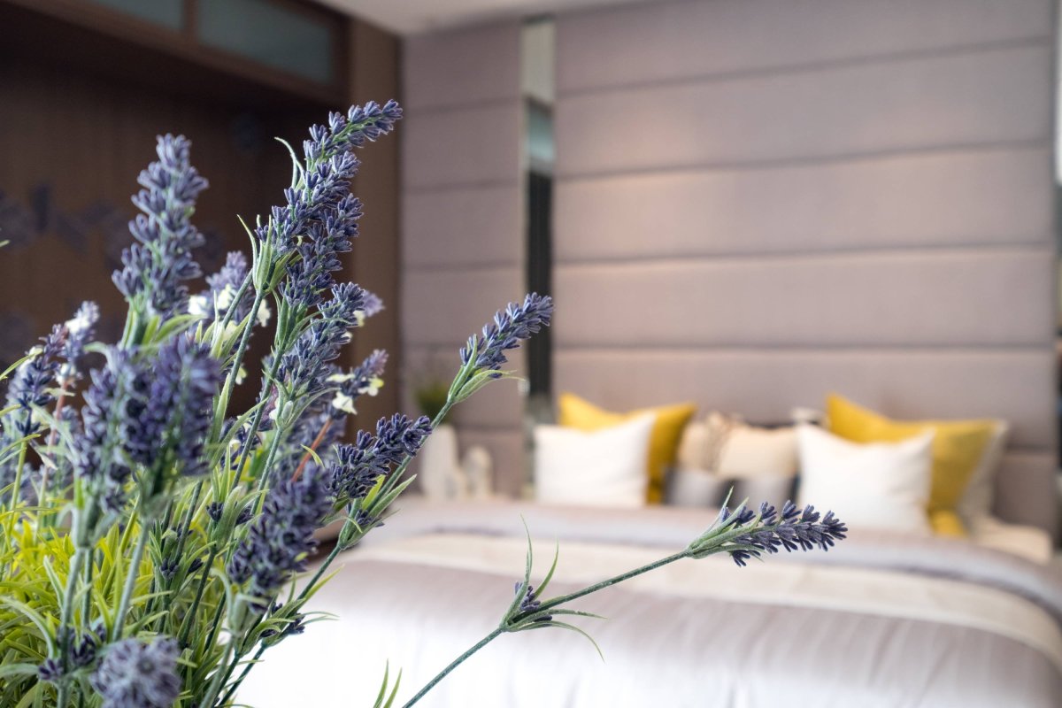 Банки лавандового цвета