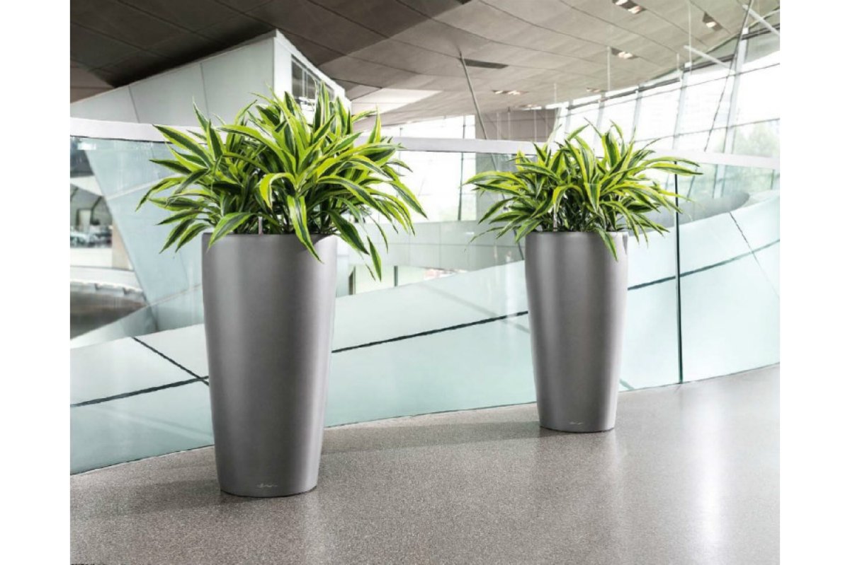 Кашпо Lechuza Rondo