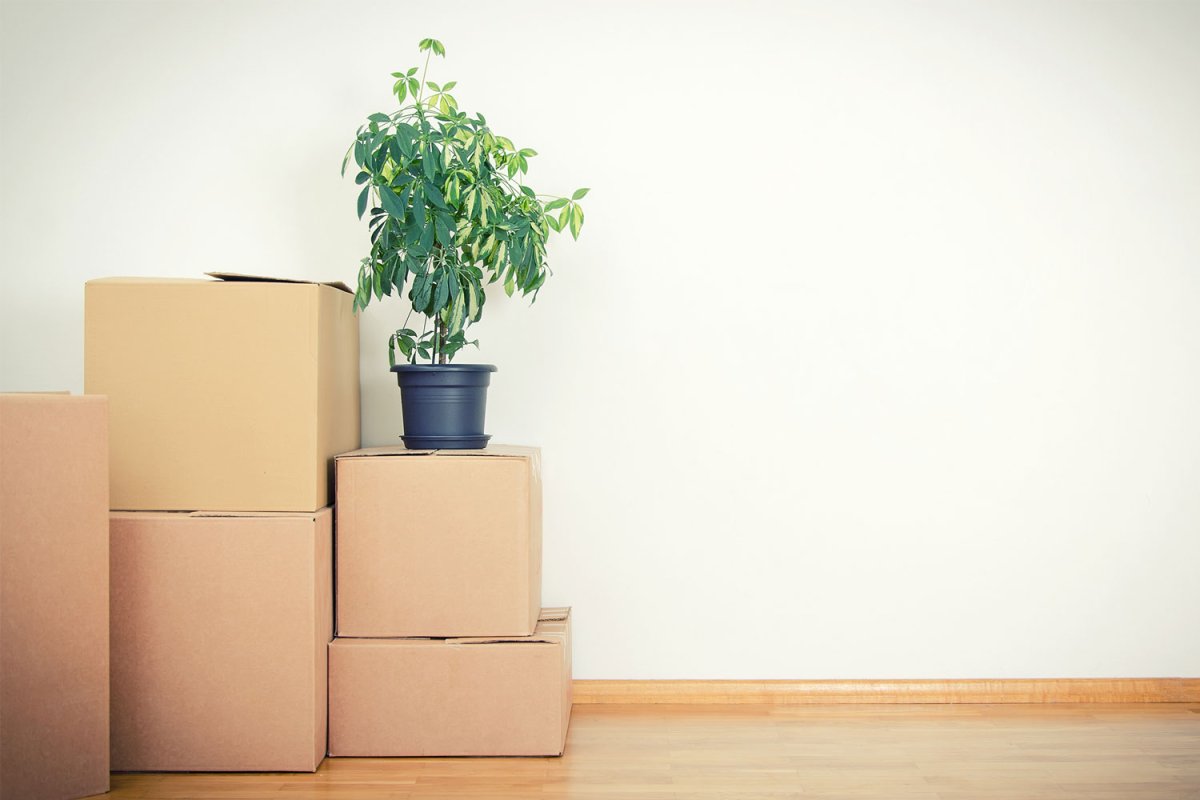 Декоративные коробочки для интерьера