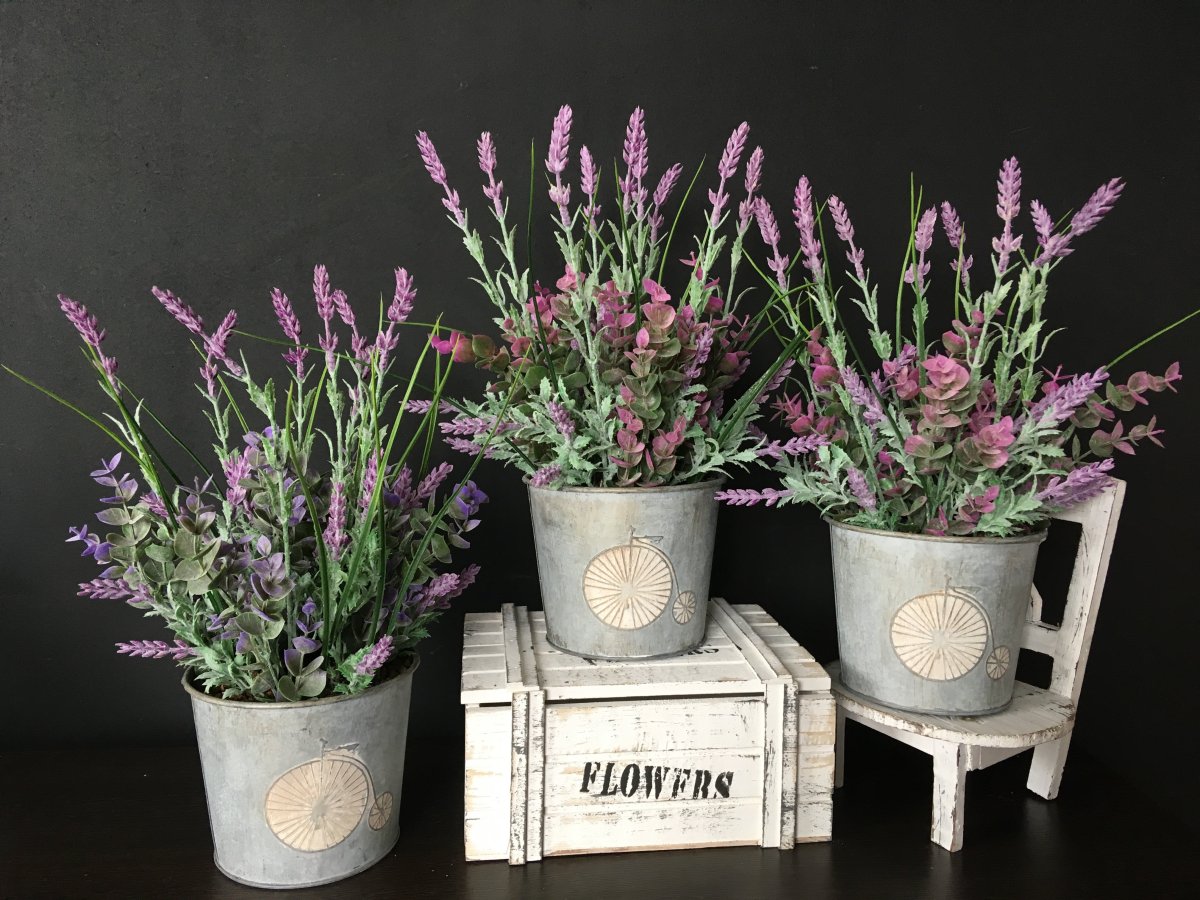 Лаванда в интерьере