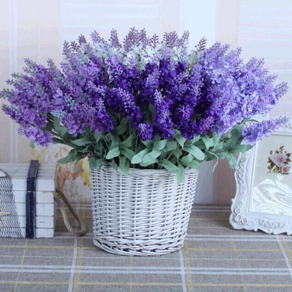 Лаванда комнатная