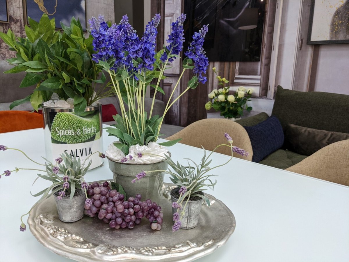 Лаванда Mary de Plants