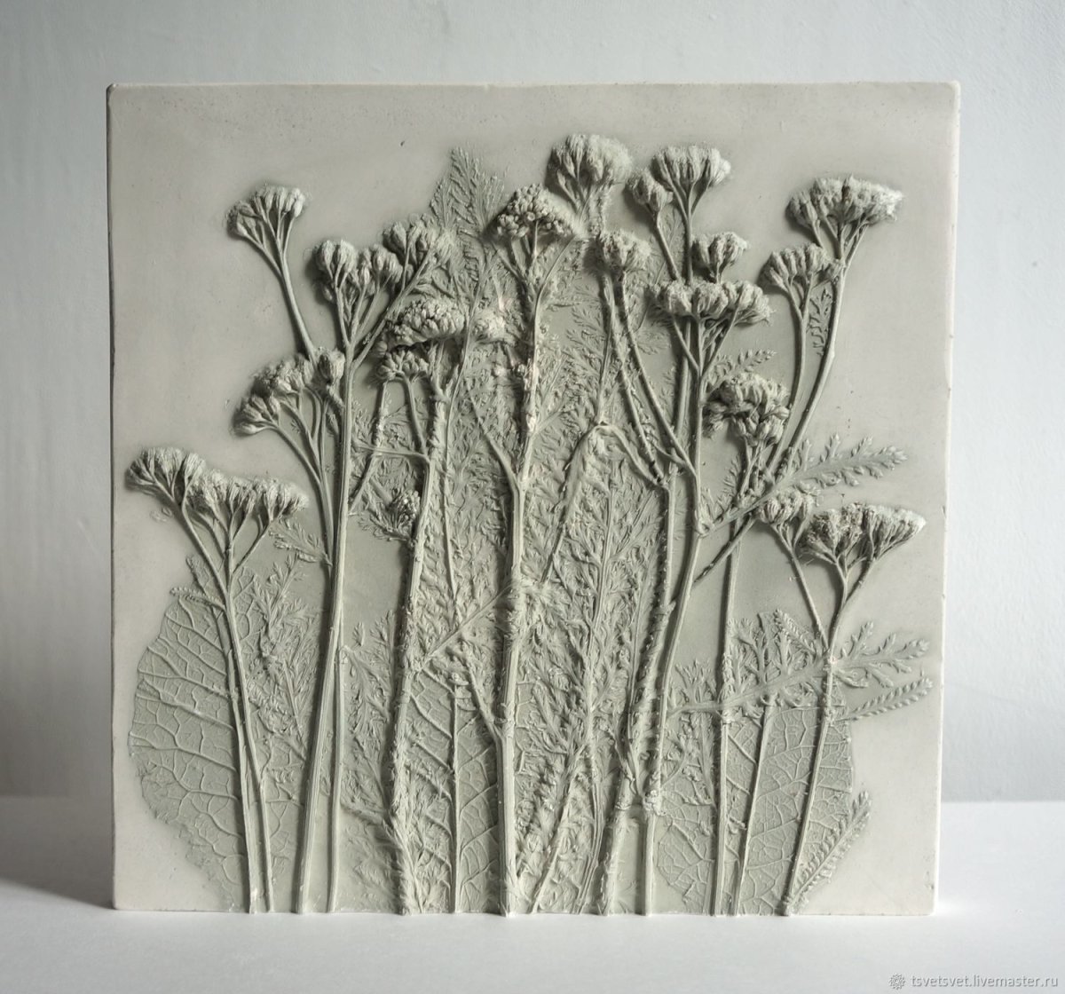 Робинсон Ботанический барельеф