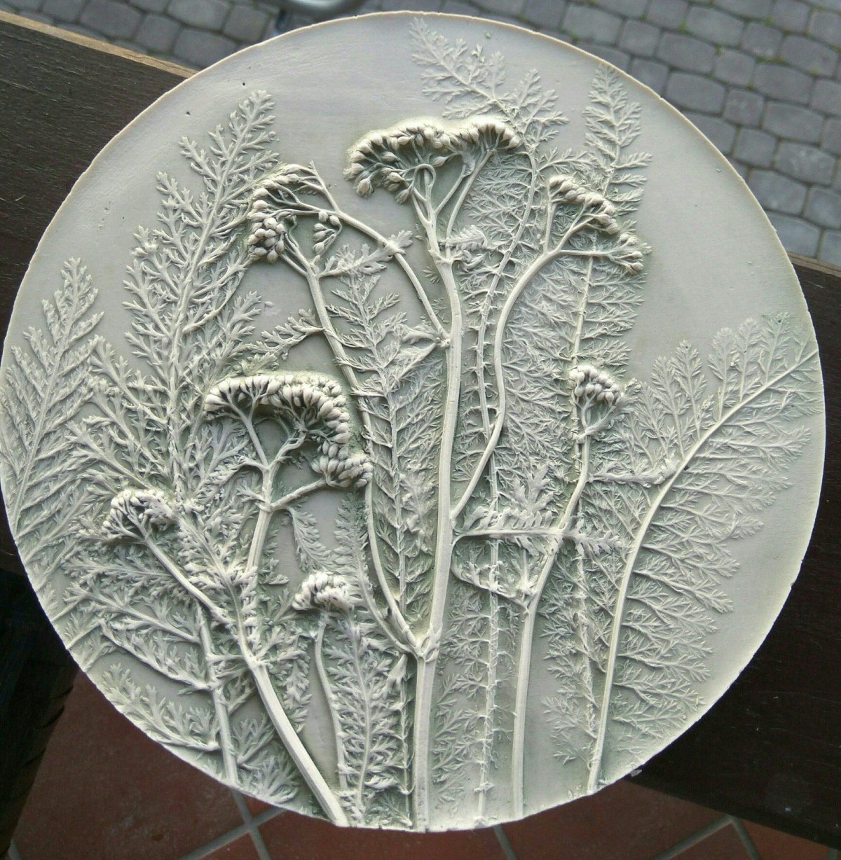 Ботанический барельеф