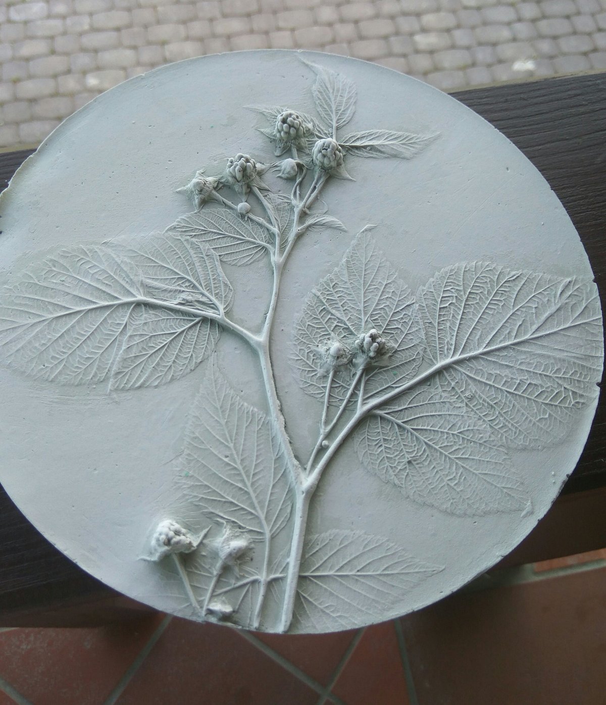 Ботанический барельеф МК