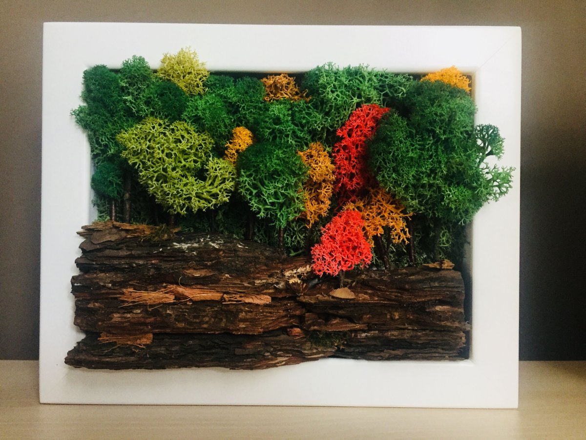 Панно с мхом