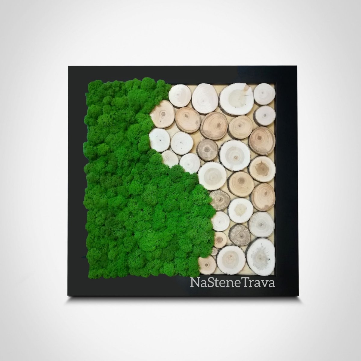 Декор из мха на стене