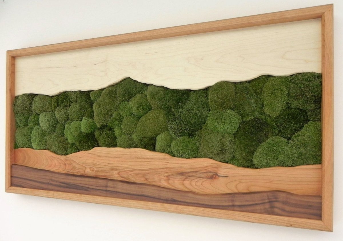 Композиции из мха