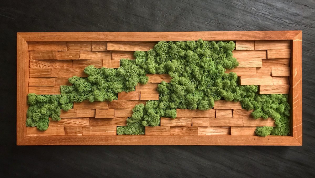 Панно из стабилизированного мха