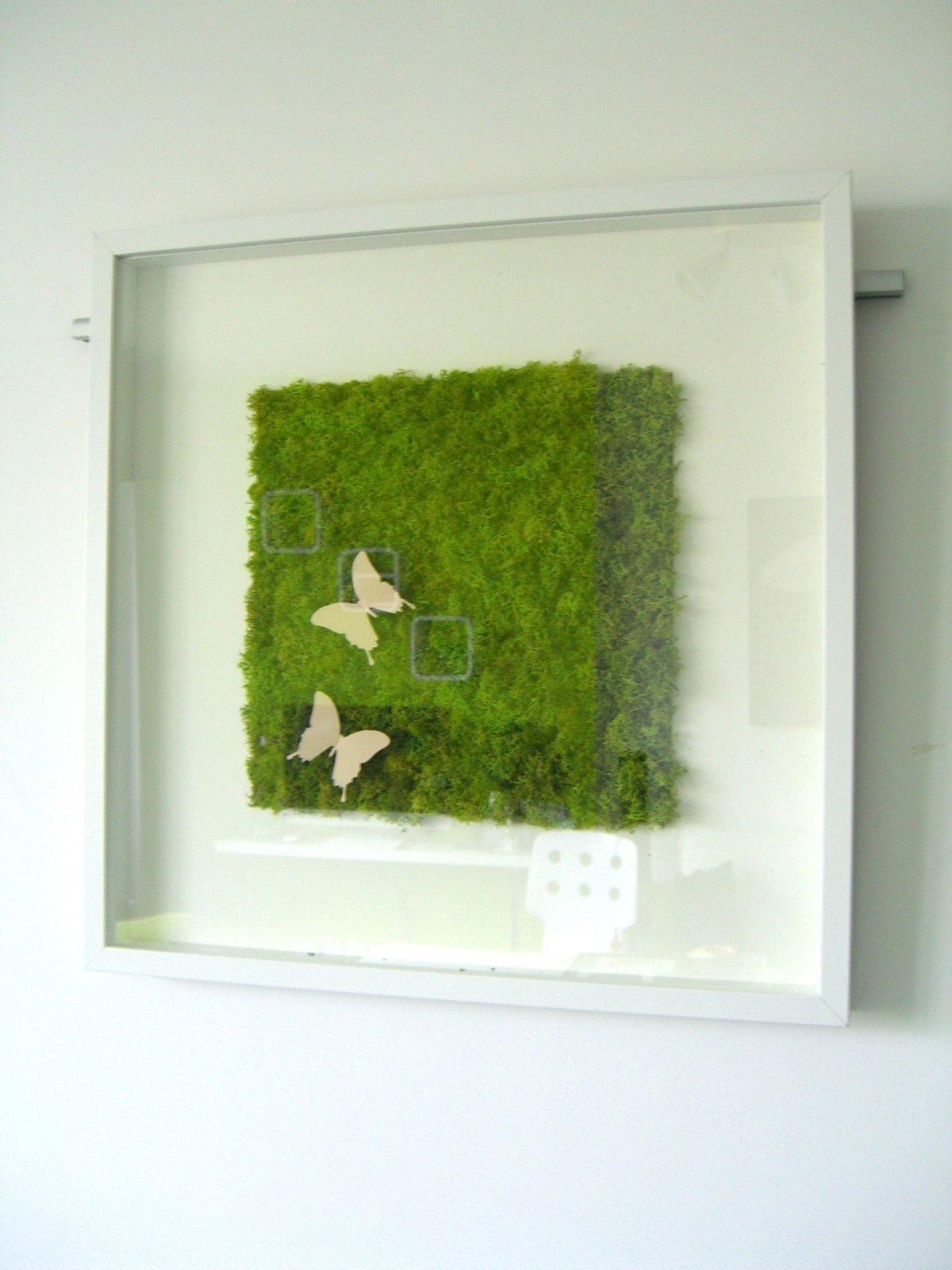 Стена из мха ягель