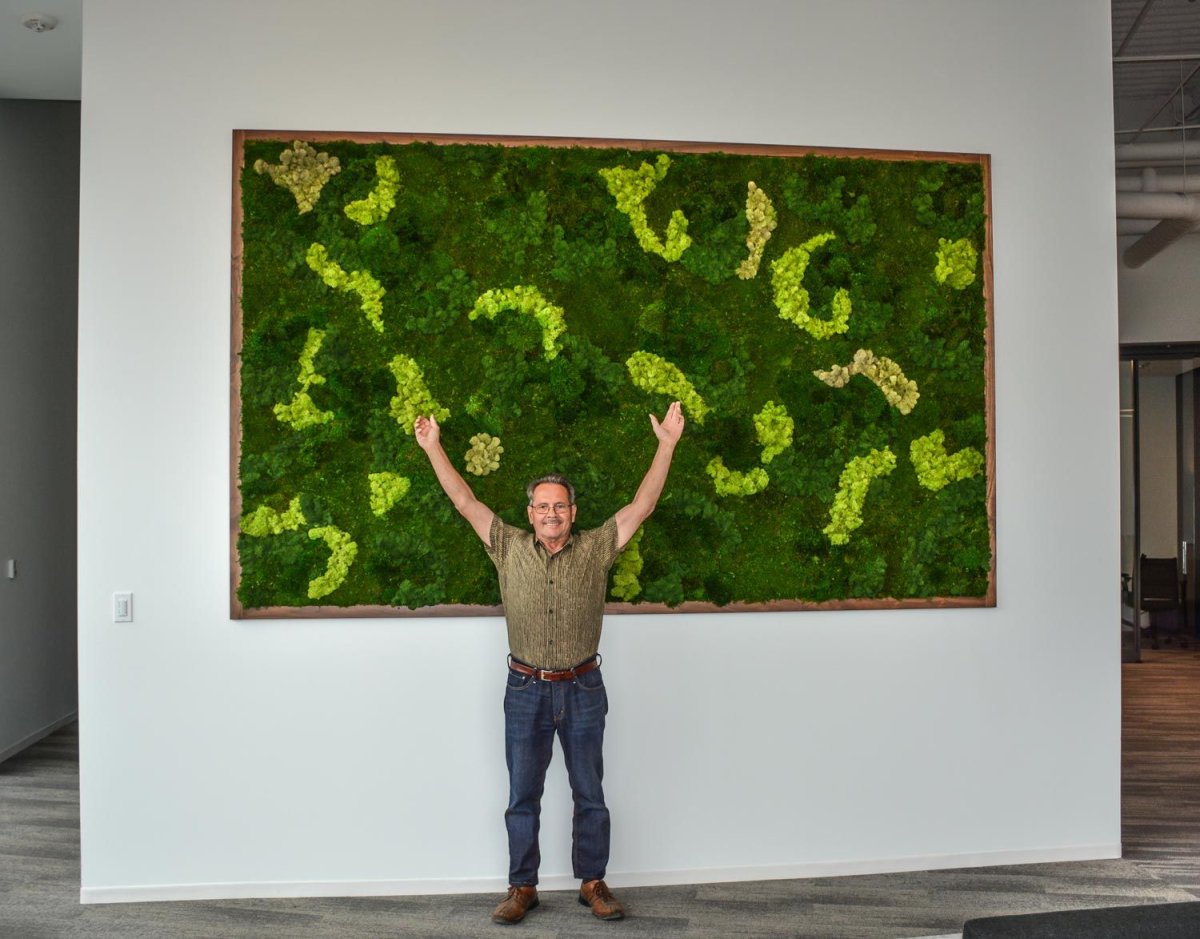 Картины из мха в интерьере