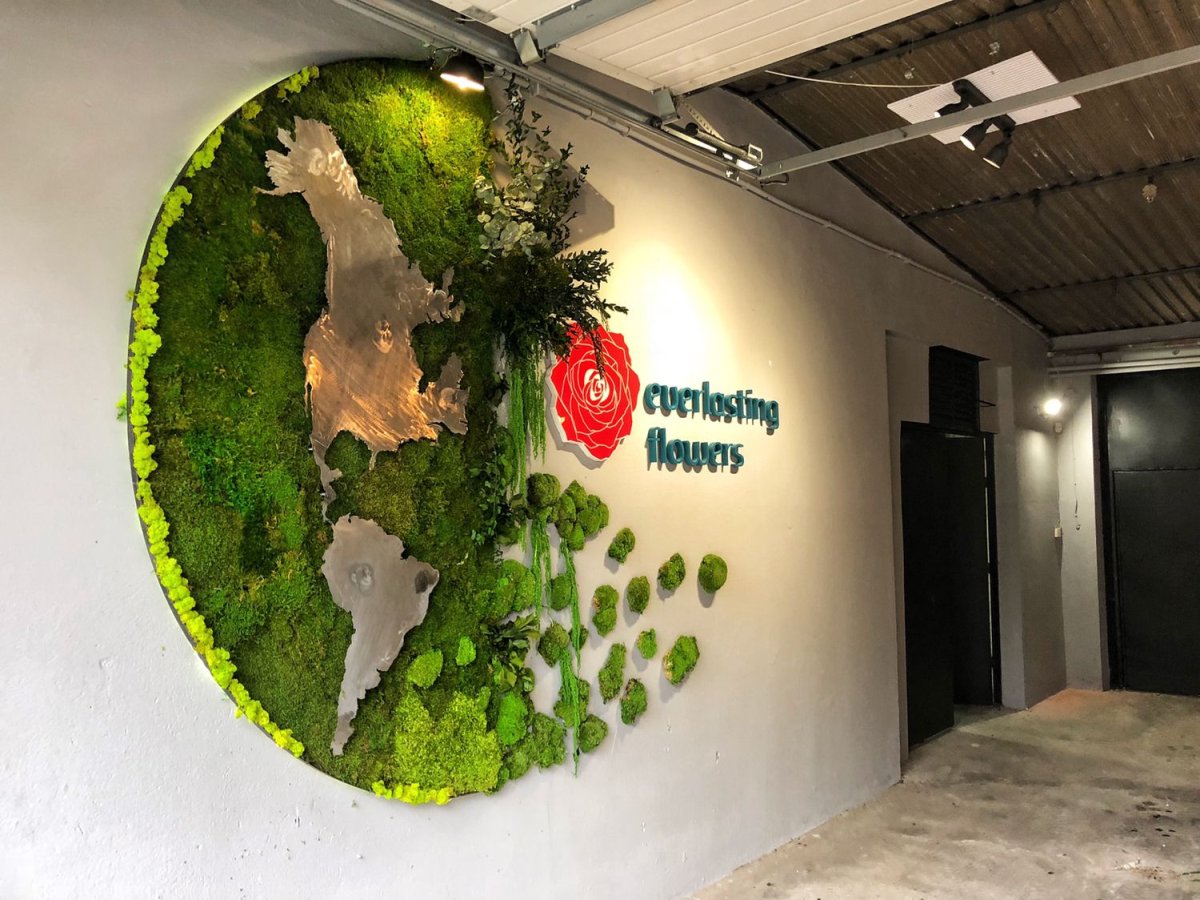 Пано из спила дерева и мха