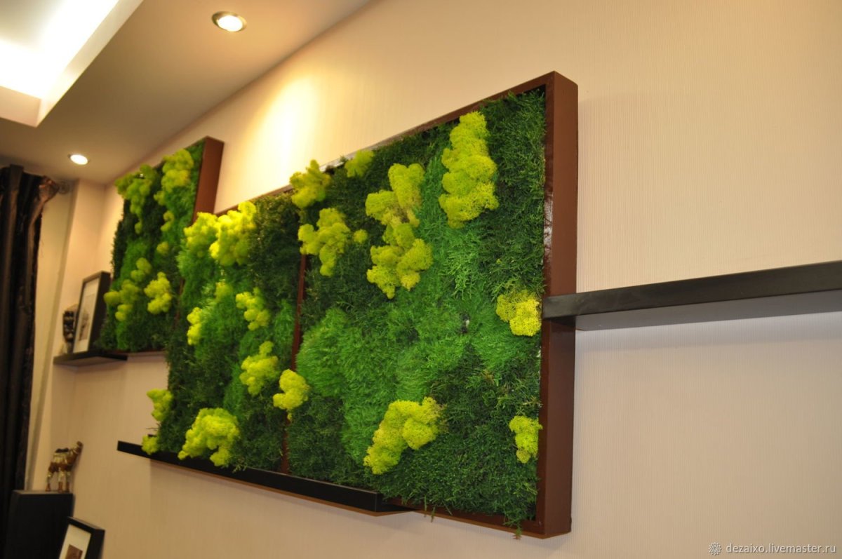Настенный мох для декора
