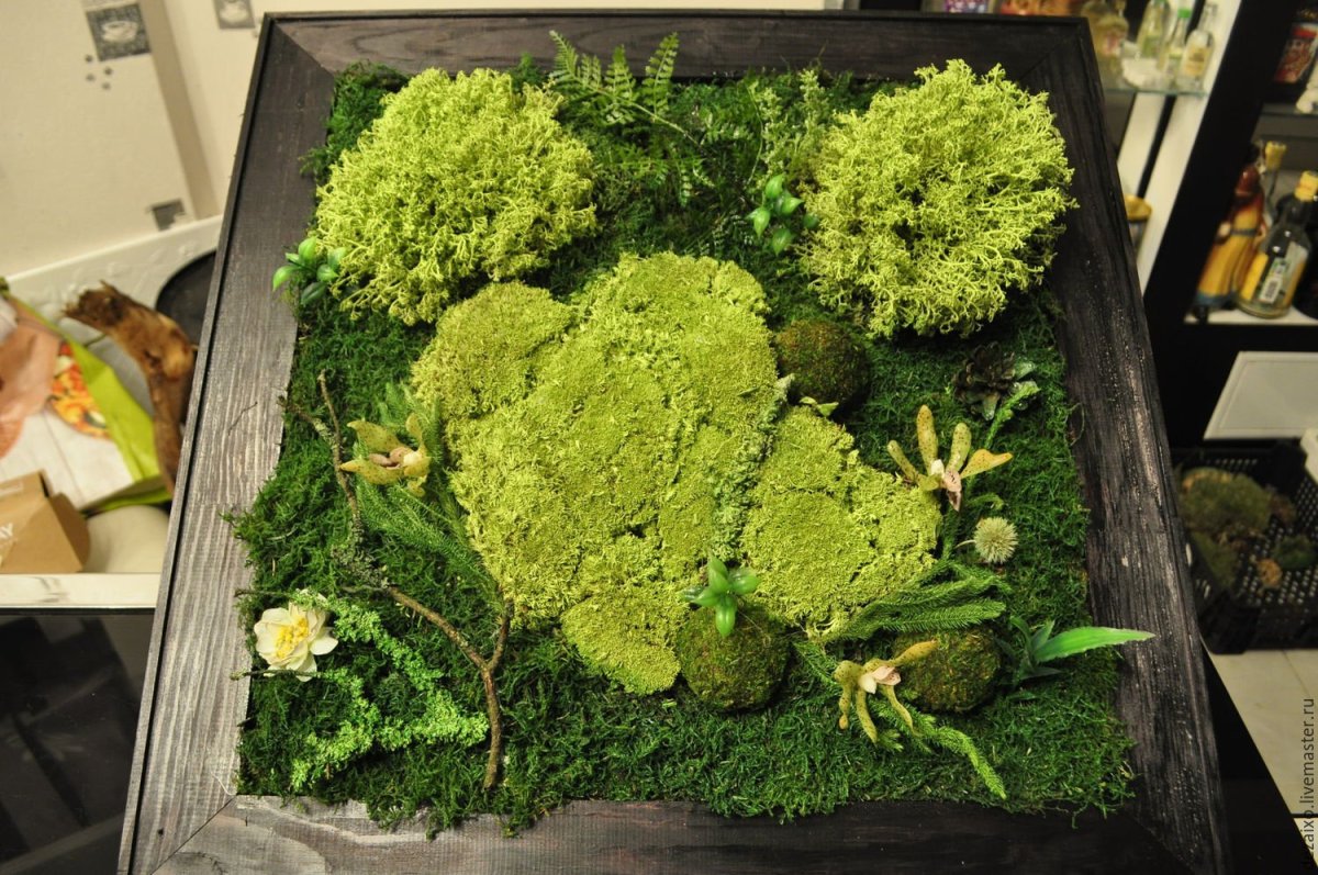 Деревянная стенка с мхом