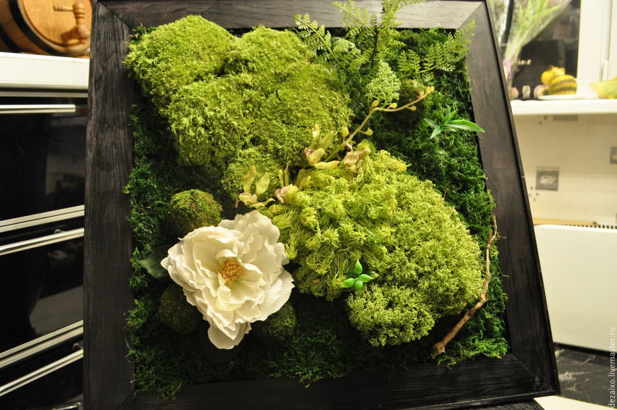 Панно из мха