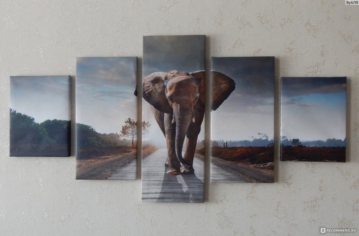 Модульная картина серфенгисты