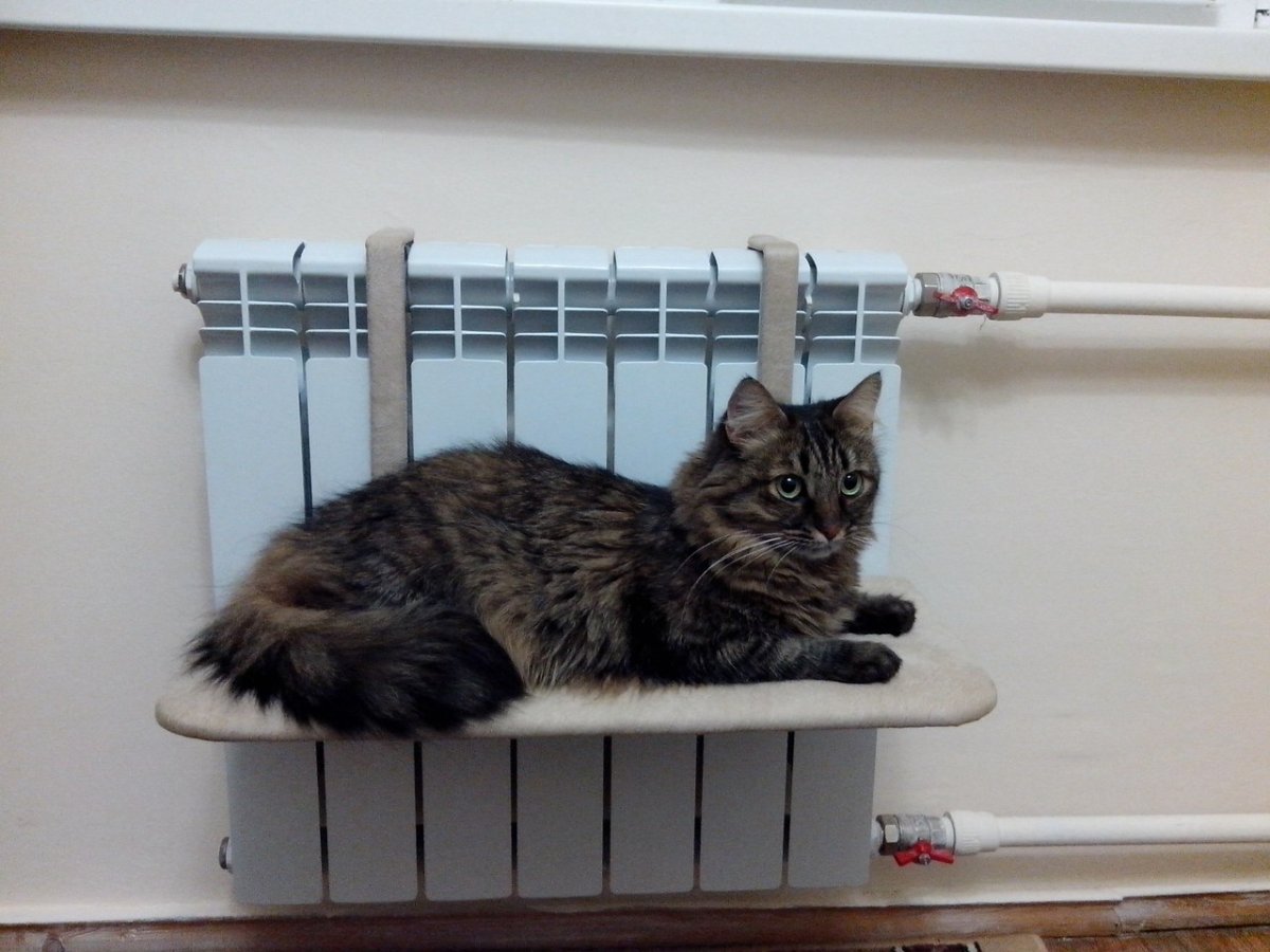 Вешалка на батарею для кошек