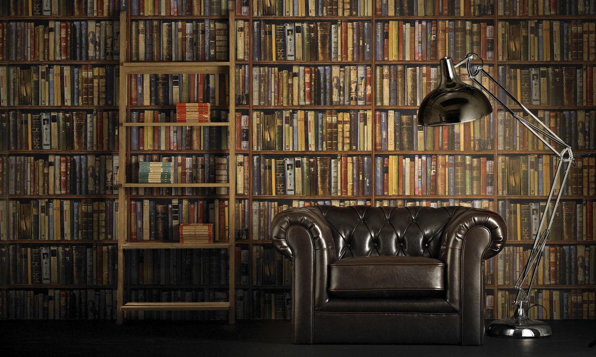 Книжные стеллажи в интерьере