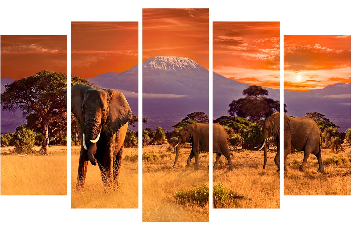 Картина из двух частей