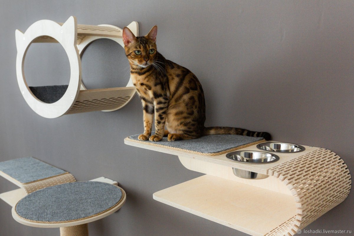 Настенные полочки для кошек