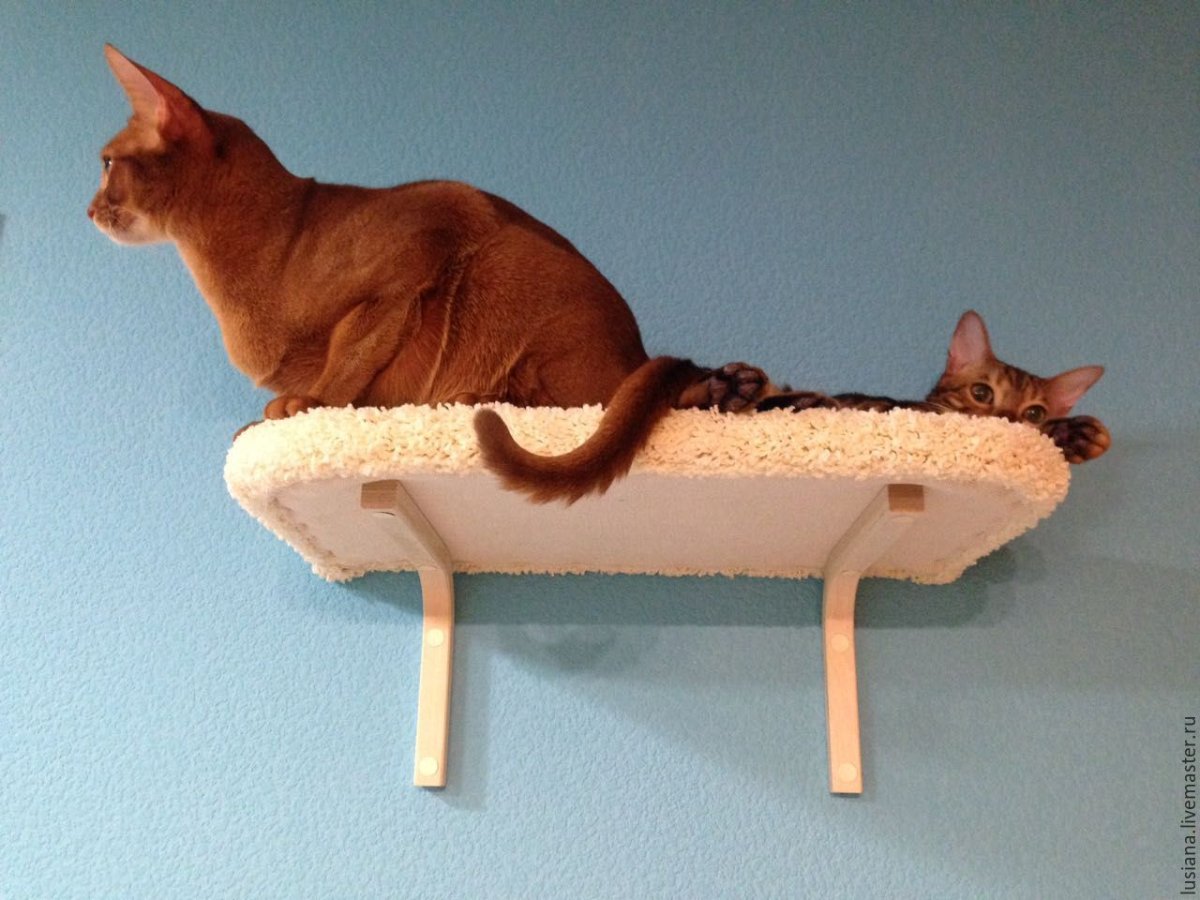 Полки для кошек