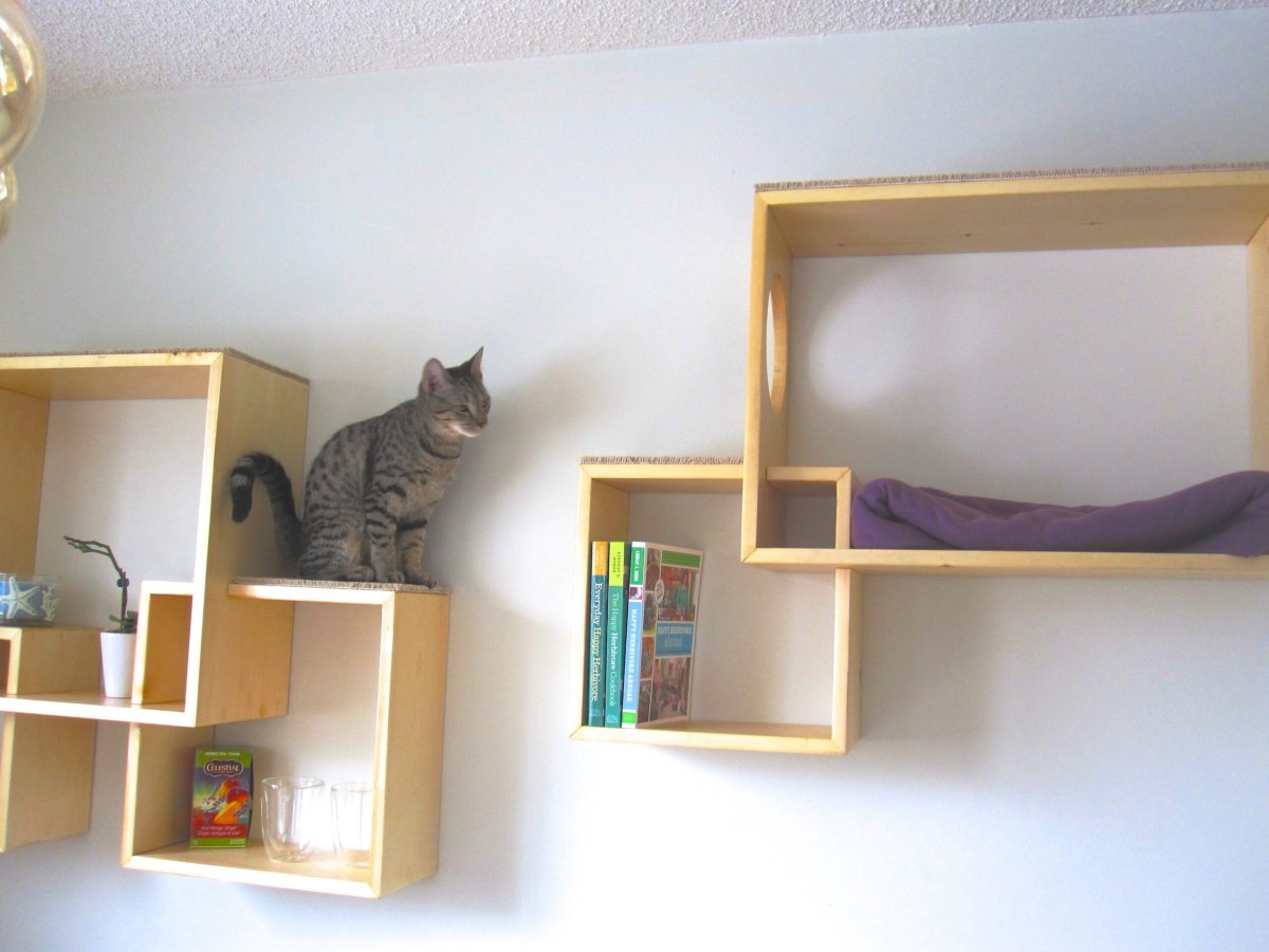 Игровые стеллажи для кошек