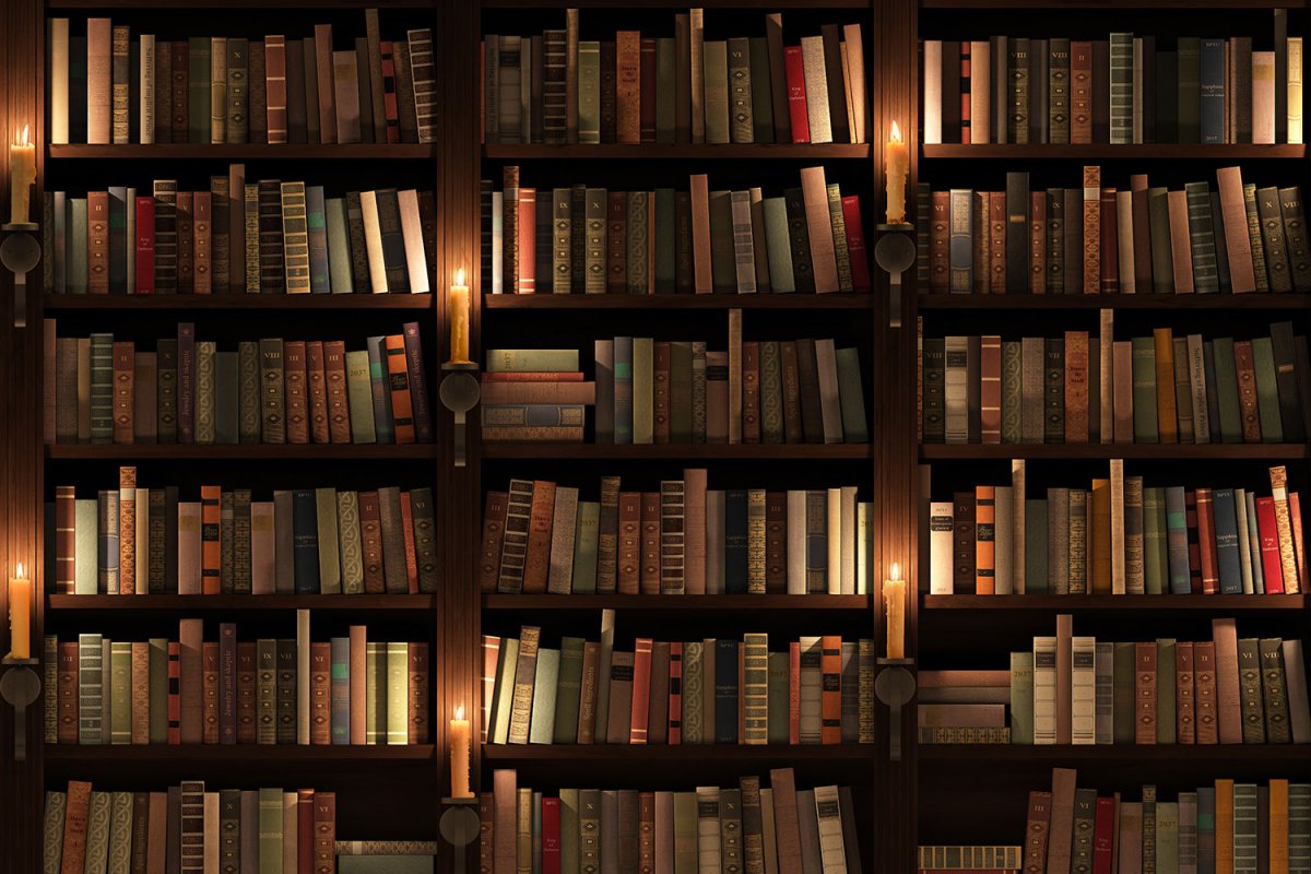 Книжная полка человек