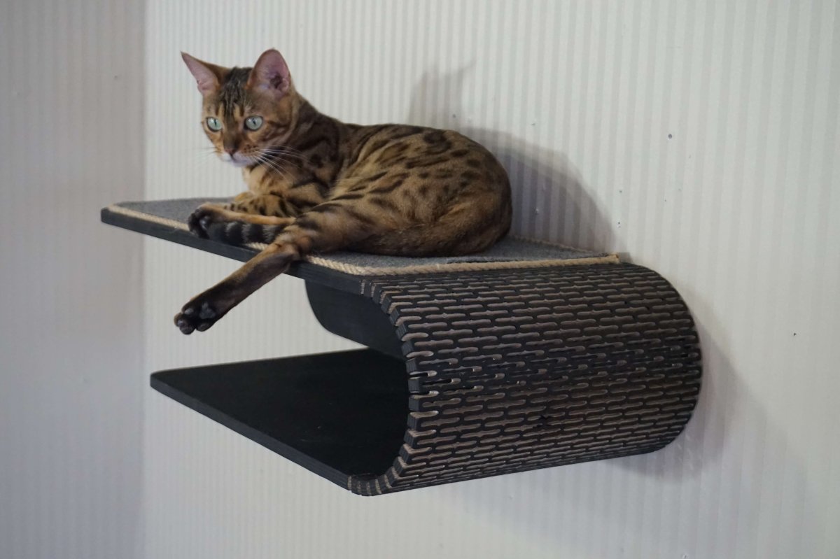 Полка настенная для кошек