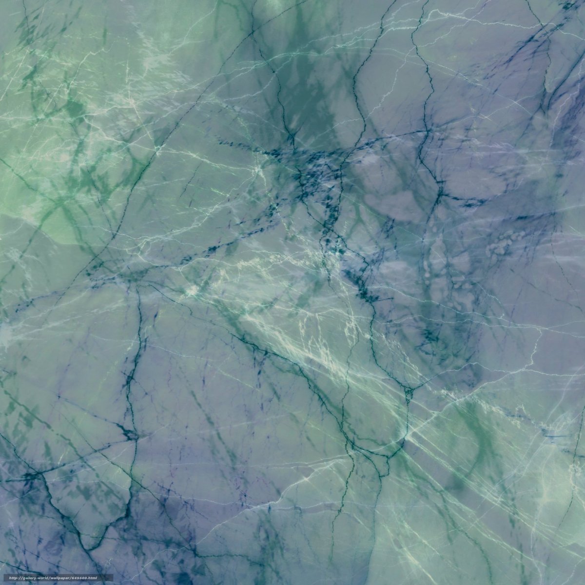 КАЛАКАТА бабочкой мрамор