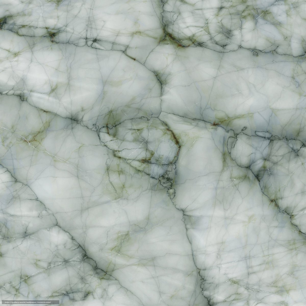 Мрамор бабочка текстура