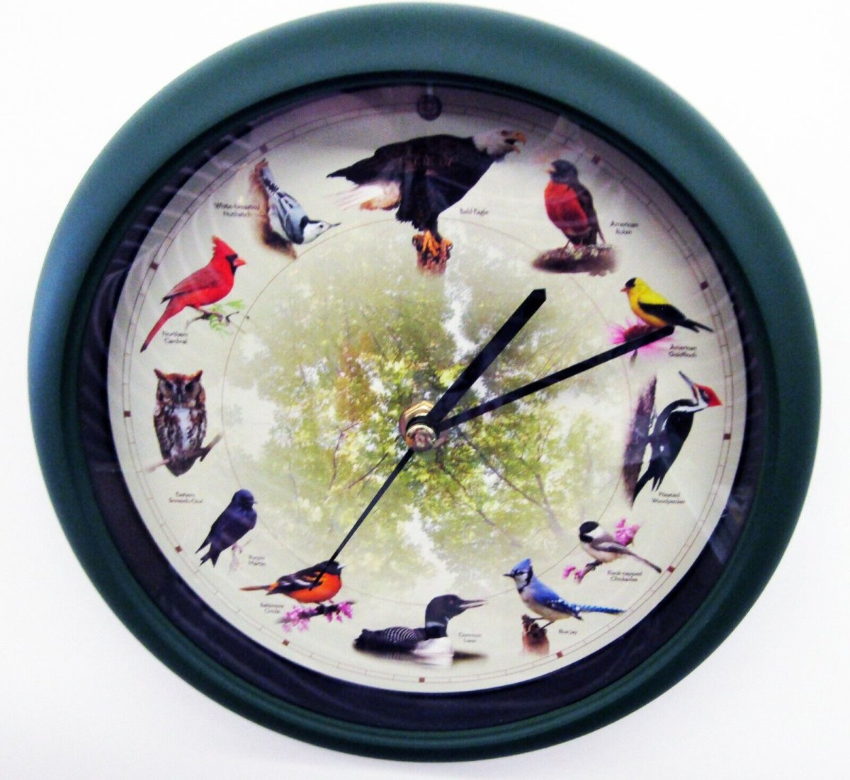 Часы с птичками. Часы Birds настенные. Часы птичьи трели.