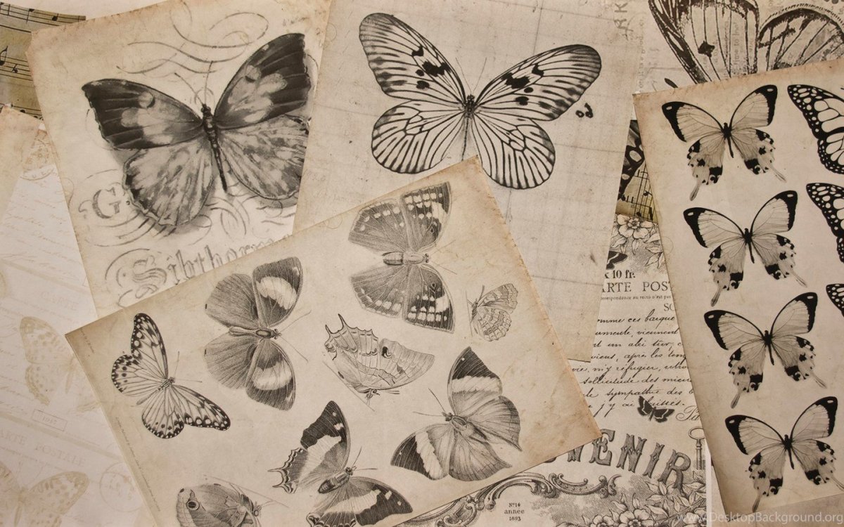 Винтажные фоны с бабочками