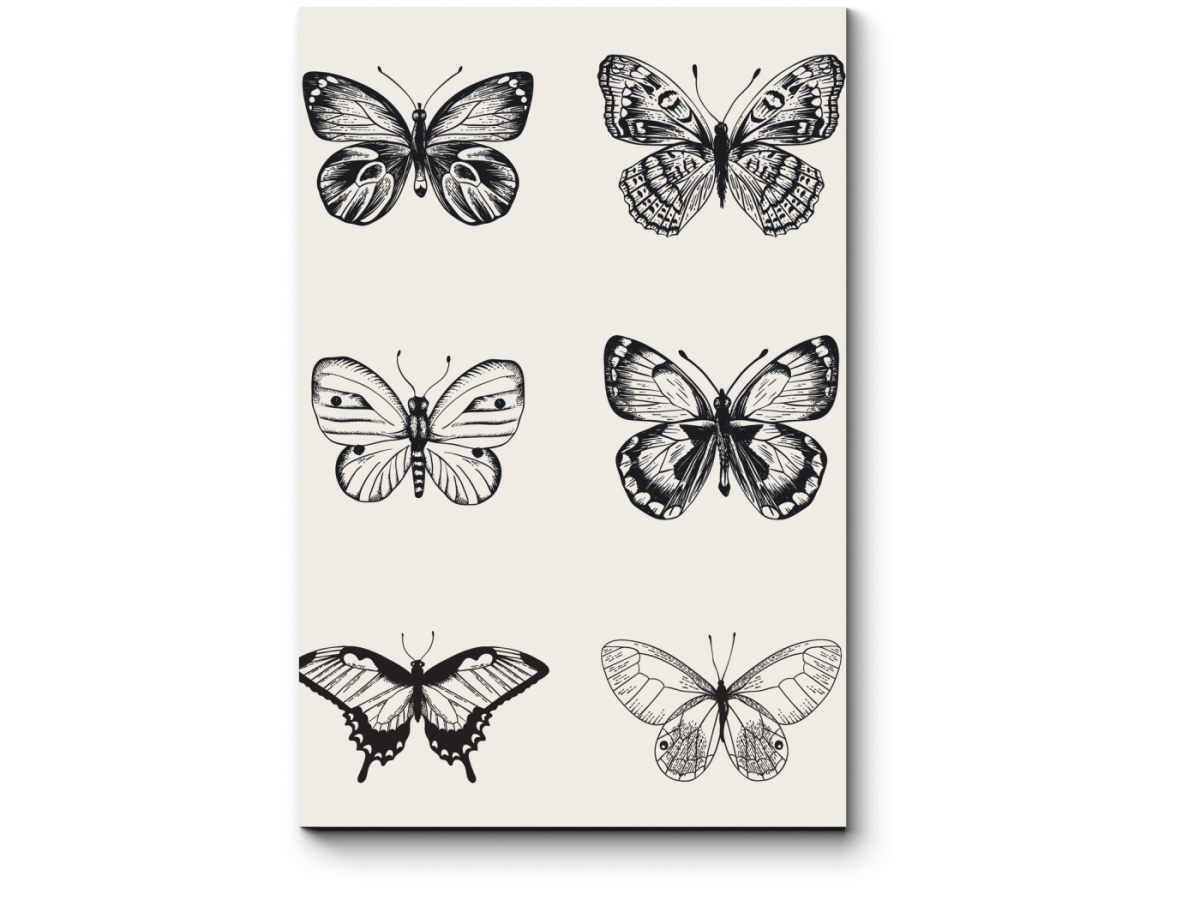 Винтажные плакаты с бабочками