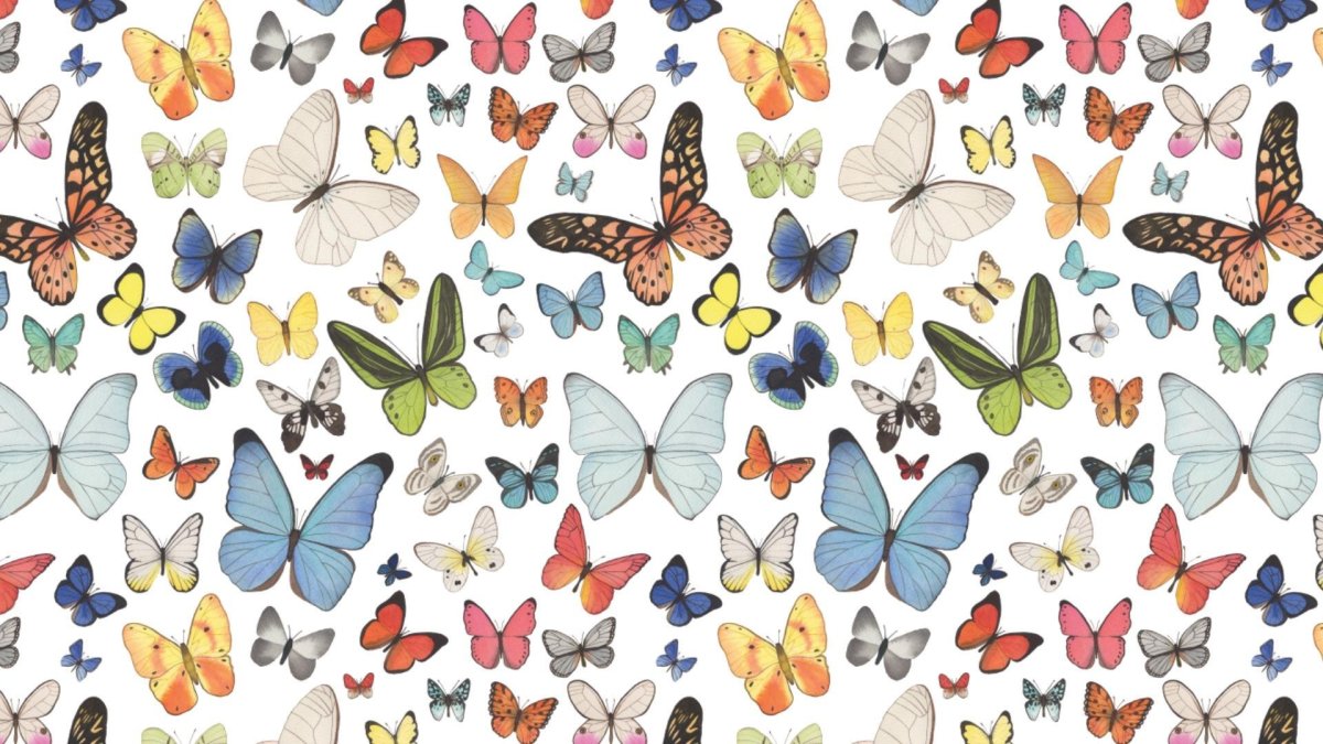 Цветы на бежевом фоне