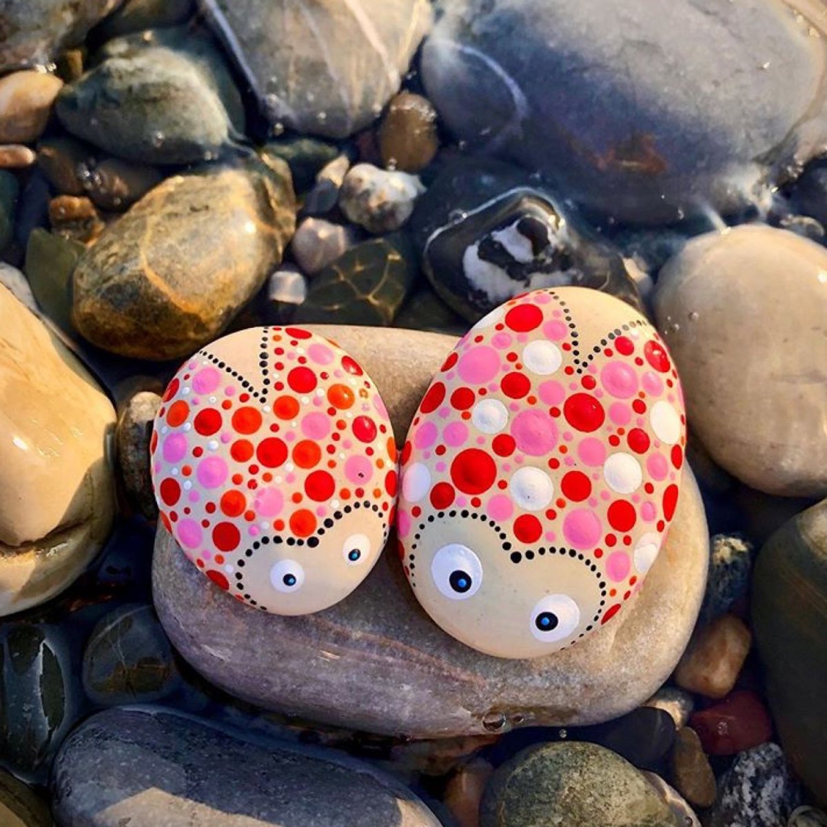 Красивые морские камушки