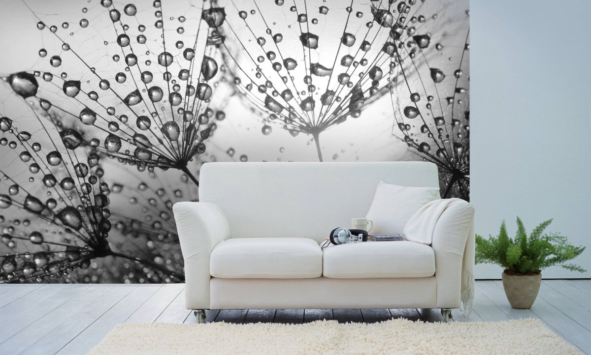 Цельные обои на всю стену