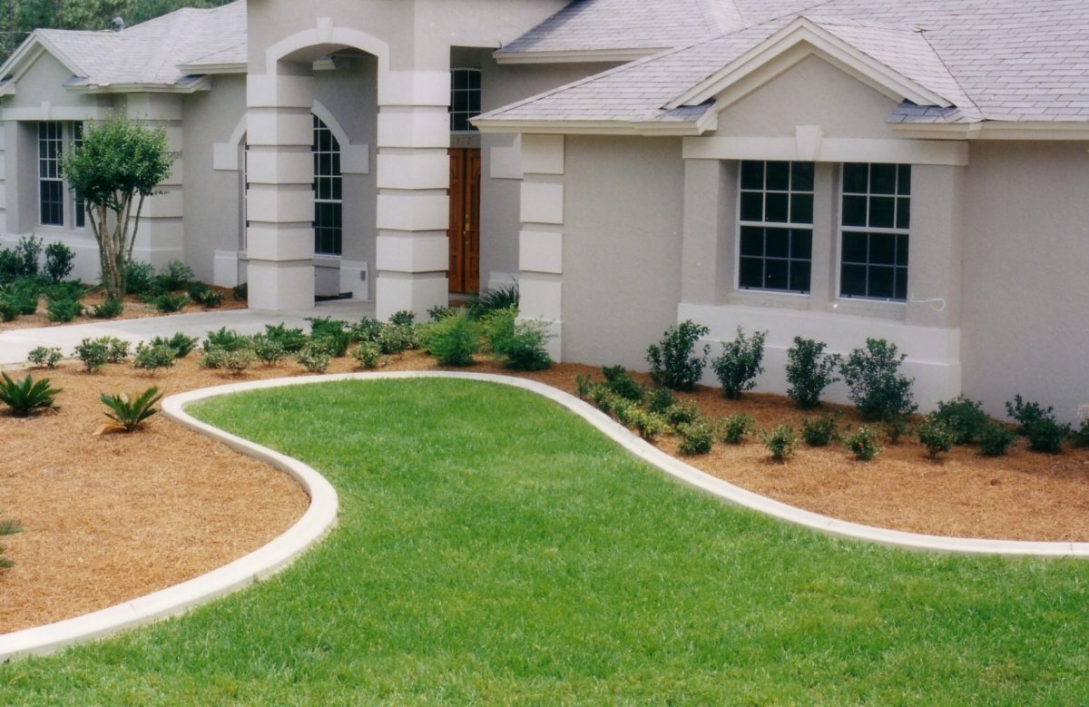 Мульчирование петунии