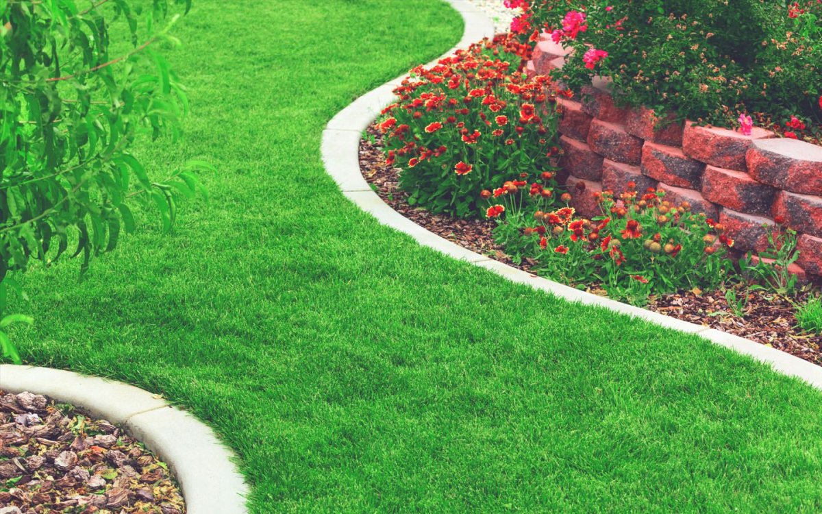 Ландшафт участка