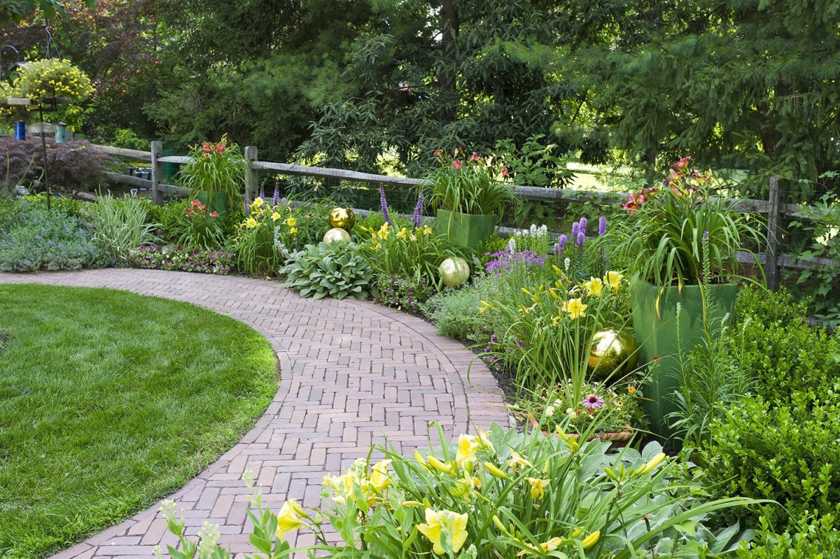 Рабатка Тунберга