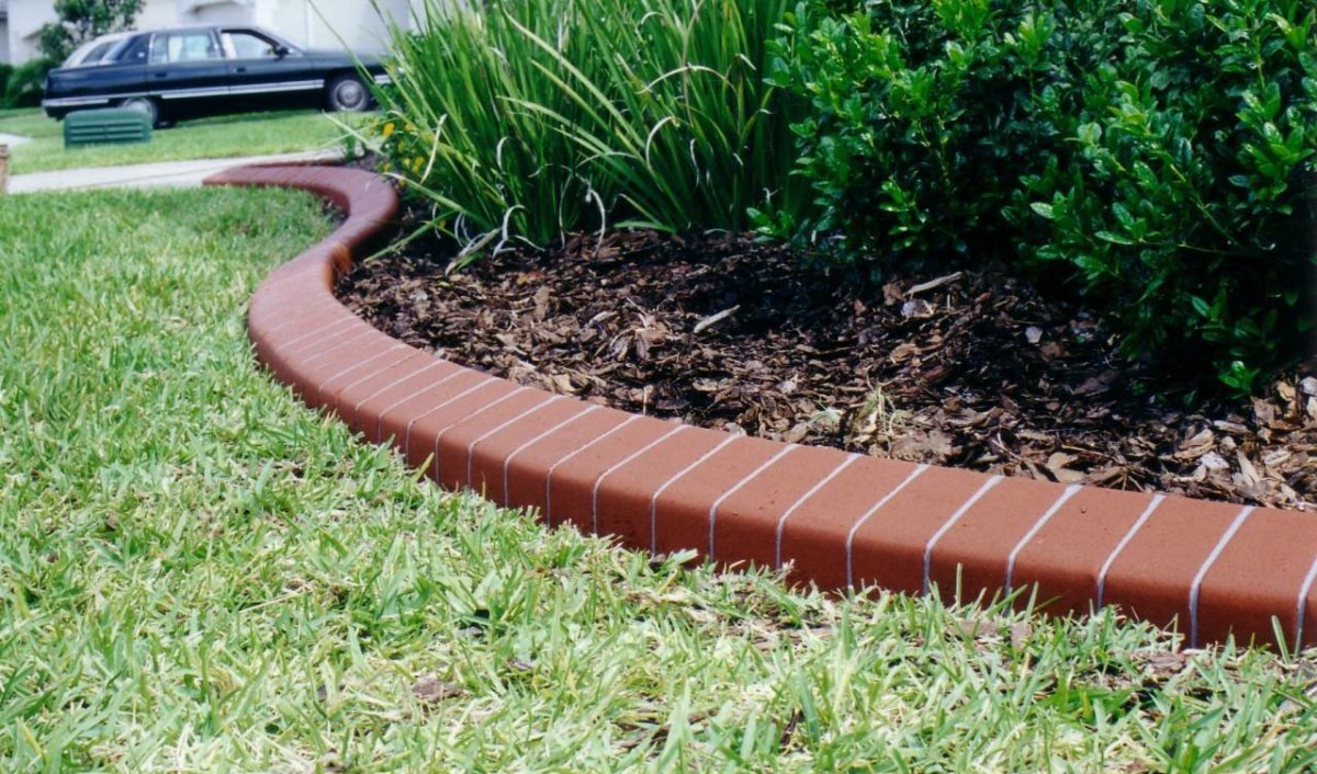 Шалька в ландшафтном дизайне