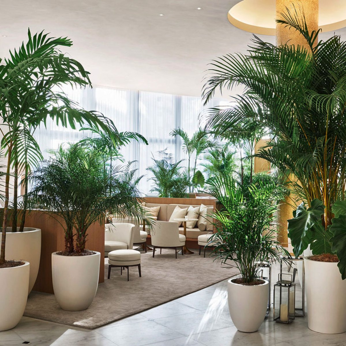 Искусственное дерево для интерьера