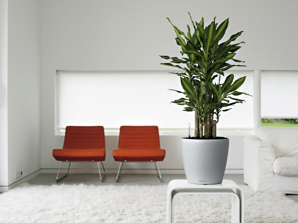 Кашпо МИД сенчури